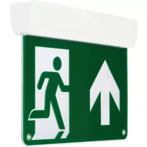   Sylvania 0032018 LIFESAFE MULTIFIX EX C EM3 NM/MT ST kijáratjelző exit lámpa
