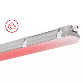   Trevos 107003 PRIMA 1.5ft ABS 8000/840 RED Concept piros szarvasmarha világítás, ammónia álló LED lámpatest ipari por és páramentes porpára IP66