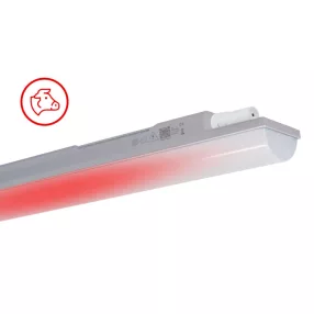   Trevos 107008 INNOVA 1.4ft ABS 6400/840 RED Concept piros szarvasmarha világítás, ammónia álló LED lámpatest ipari por és páramentes porpára IP66