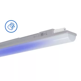   Trevos 107011 INNOVA 1.5ft ABS 8000/840 BLUE Concept kék baromfi világítás, ammónia álló LED lámpatest ipari por és páramentes porpára IP66