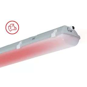   Trevos 107014 FUTURA 2.4ft ABS 8800/840 RED Concept piros szarvasmarha világítás, ammónia álló LED lámpatest ipari por és páramentes porpára IP66