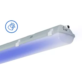   Trevos 107017 FUTURA 2.5ft ABS 11000/840 BLUE Concept kék baromfi világítás, ammónia álló LED lámpatest ipari por és páramentes porpára IP66