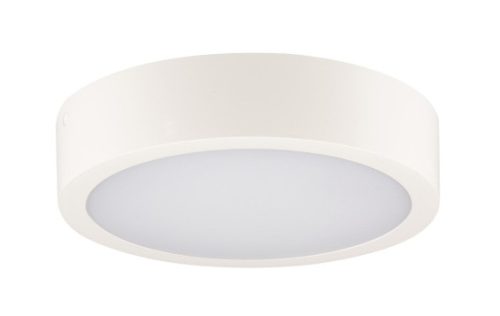 Kanlux 39024 DABER 12-20W CCT W IP66 IK10 váltható szín és teljesítmény, fehér, kültéri homlokzati lámpatest