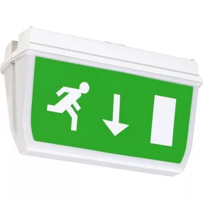   Sylvania 9154091 SYLSAFE IP65 ARROW DOWN SIGN kijáratjelző exit lámpa