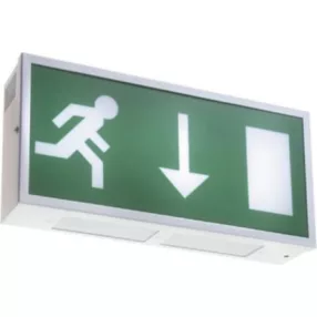   Sylvania 9154118 WALL MOUNTED EXIT SIGN ARROW DOWN kijáratjelző exit lámpa