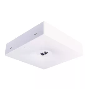   Intelight 92901 Starlet QUAD LED SC 150 NM 1H MT biztonsági világítás, folyosói optikával, fehér, négyzetes, mennyezeti, bv lámpa