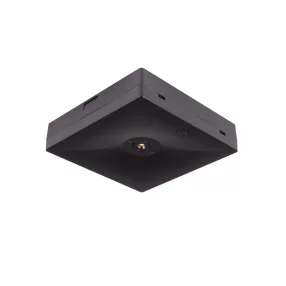   Intelight 92996 Starlet QUAD LED SO 150 NM 1H MT biztonsági világítás, területi optikával, fekete, négyzetes, mennyezeti, bv lámpa
