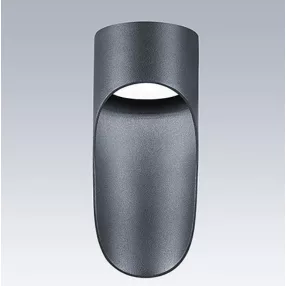   Thorn Eco 96633687 HOLLY WALL CAN DOWN IP65 250 830 hengeres, lefelé világító direkt kültéri homlokzati LED lámpatest